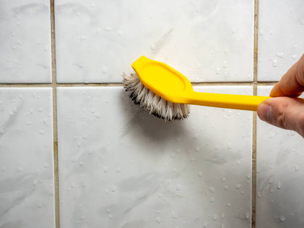 Best Emergency Mold Removal  in Maple Glen, PA